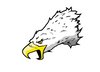 Eagle illustration vector