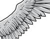 Eagle illustration vector