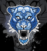 Vector Predator Series - Wolf, Panther and Bear