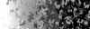 Vector Vehicle Wrap Design - Truck Wrap - Grey Camo 1
