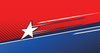 Vector Vehicle Wrap Design - Truck Wrap - Lone Star