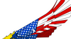American Bald Eagle Vector